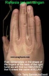 Rahasia jari-jari tangan manusia